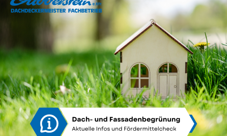 Dach- Und Fassadenbegrünung - Aktuelle Infos Und Fördermittelcheck.